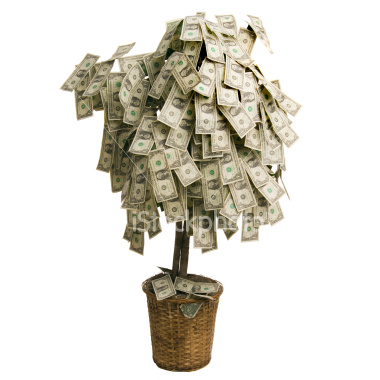 money-tree.jpg