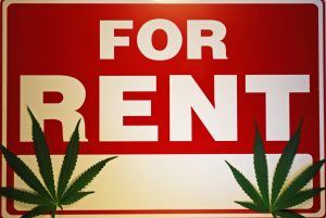 cannabis real estate