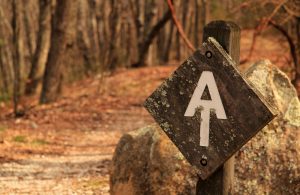 iStock-1040759356-appalachian-trail-pipeline-300x195